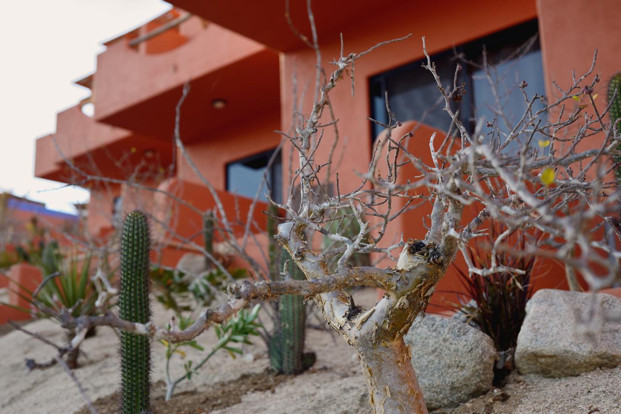 Cerritos Beach Hotel Desert Moon El Pescadero (Baja California Sur) Exterior foto